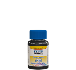 TINTA ARTESANATO PVA 37ML PRETO C/12